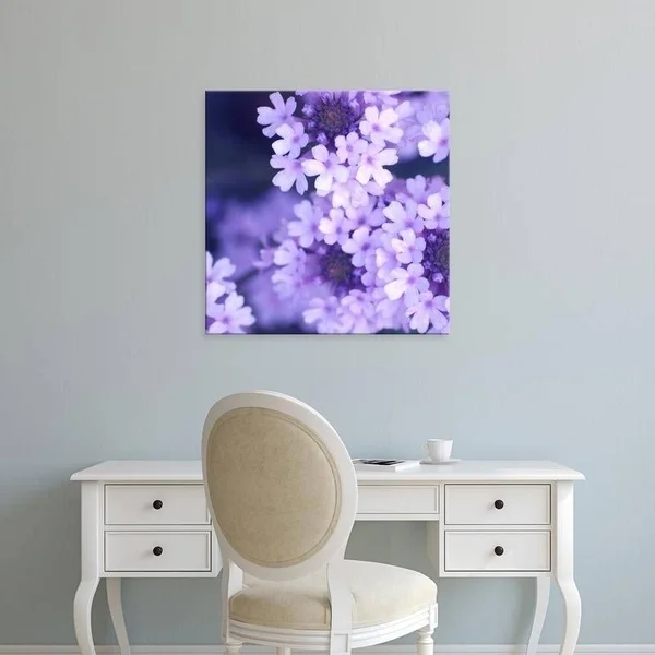 Easy Art Prints PhotoINC Studio's 'Purple Flowers' Premium Canvas Art (30 x 30)