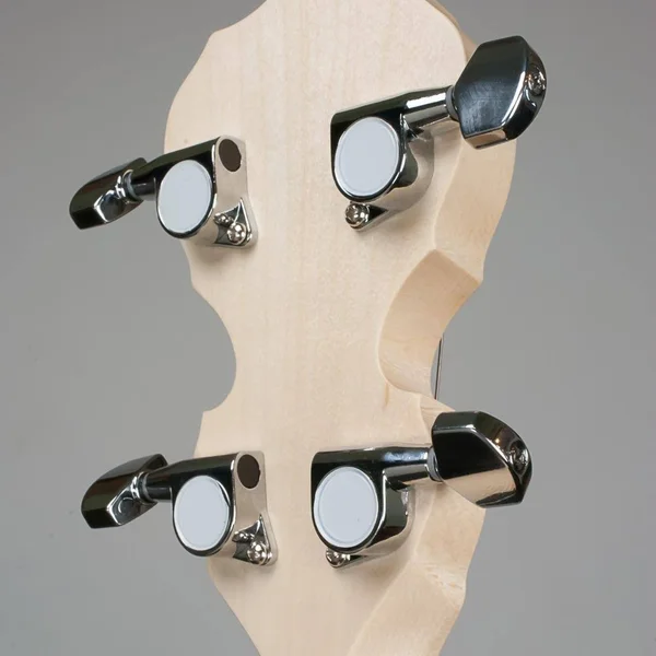 Deering Goodtime 19-Fret Tenor Banjo Satin