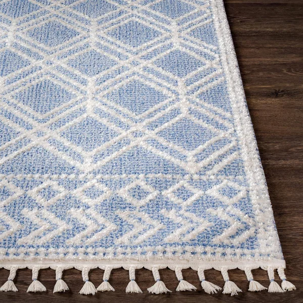 Valencia (Vlc-2314) - 6& 7x22 x 9& Rug