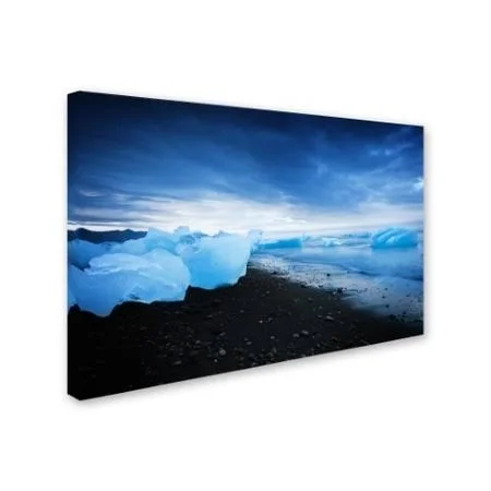 Trademark Fine Art Psl0637-C1219Gg Philippe Sainte-Laudy 'Blue Sugar'