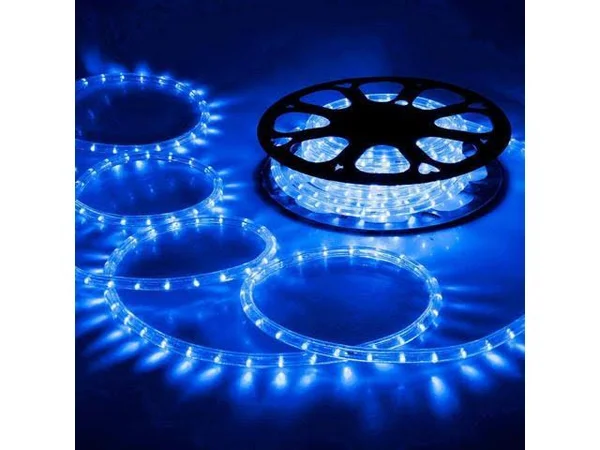Delight 150 ft. 2 Wire LED Rope Light Holiday Valentine Party Decorative Lighting Blue