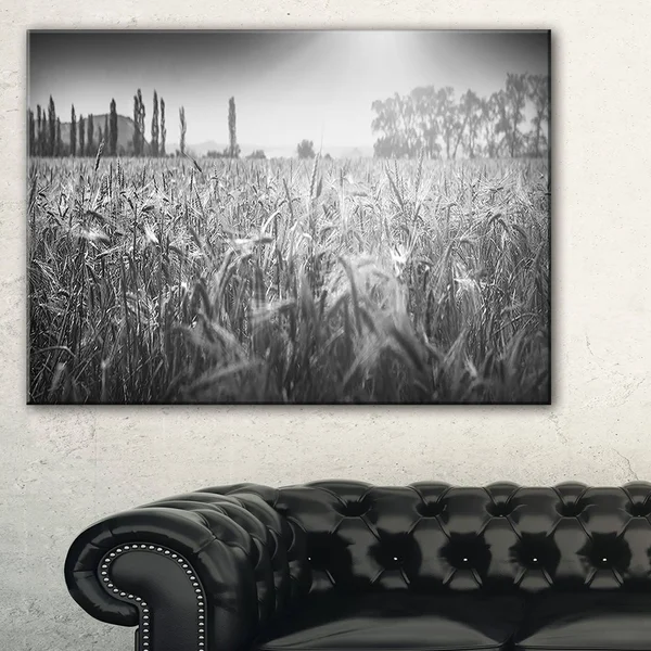 Design Art Black and White Wheat Field Photographic Print on Wrapped Canvas Size: 16x22 H x 32x22 W x 1x22 D