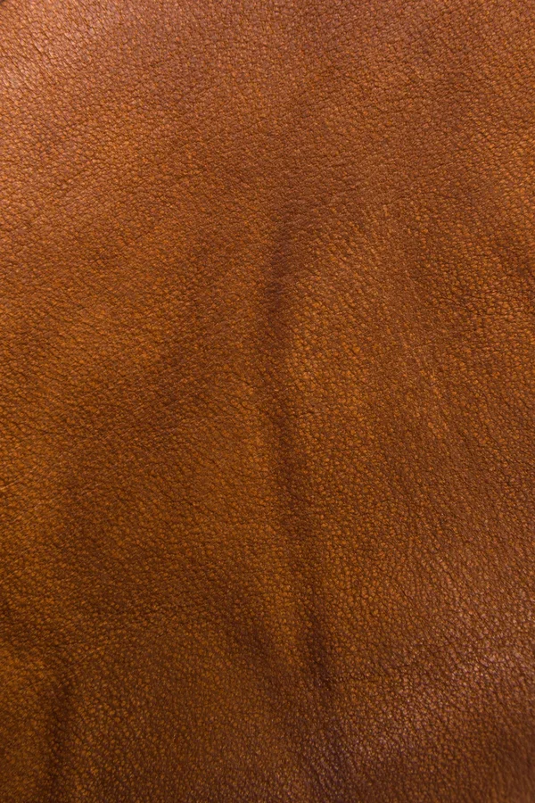 Frye Men's Campus 14L Saddle, 9