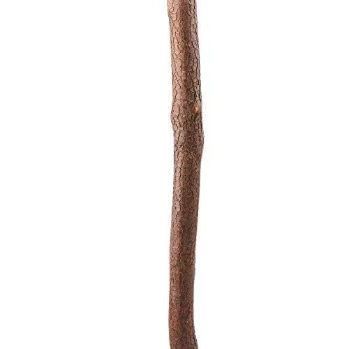 Brazos 48 inch Free Form Dogwood Walking Stick
