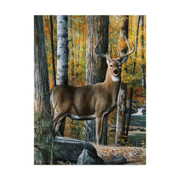 Trademark Fine Art Wag03256-C2432Gg Kevin Daniel 'Broken Silence' Canv