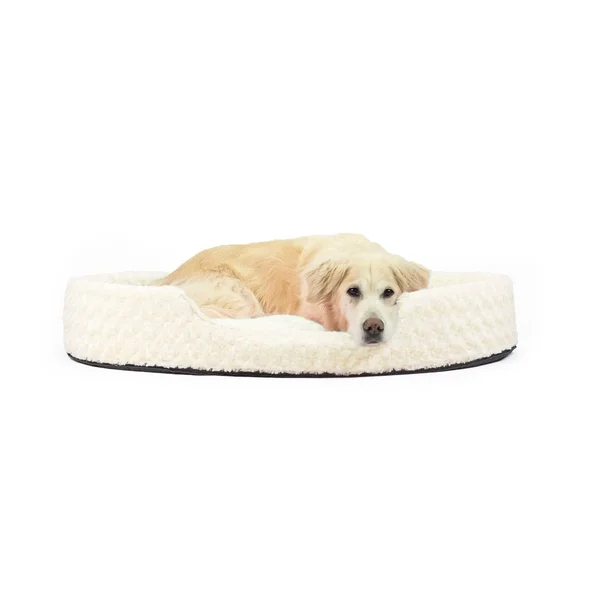 FurHaven Ultra Plush Oval Pet Bed Cream Jumbo