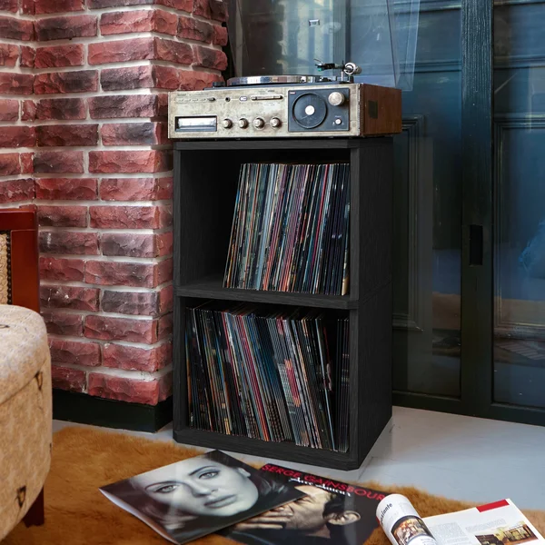 Way Basics Eco Friendly 2 Shelf Vinyl Record Cube Bookcase Black