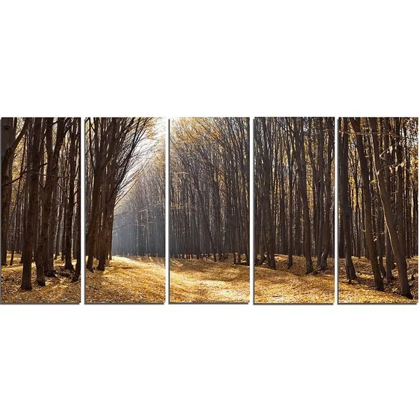 Design Art 'Light in The Forest Path Panorama' 5 Piece Photographic Print on Wrapped Canvas Set, Brown