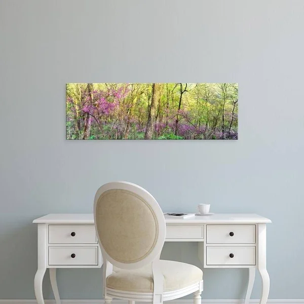 Easy Art Prints Panoramic Images&s &Redbud Trees in A Forest - Wayne National Forest, Ohio& Premium Canvas Art - 12 x 36 - Modern