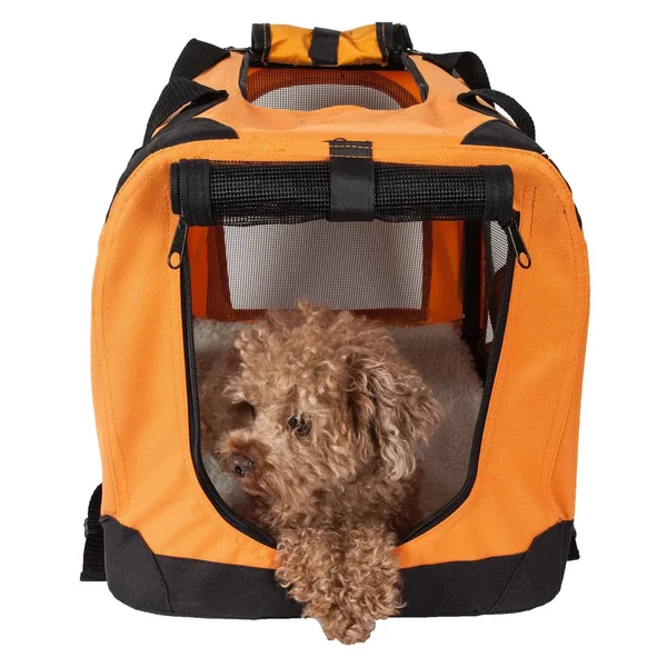 Pet Life 360-Degree Vista View Soft Side Pet Crate, L, 32&&