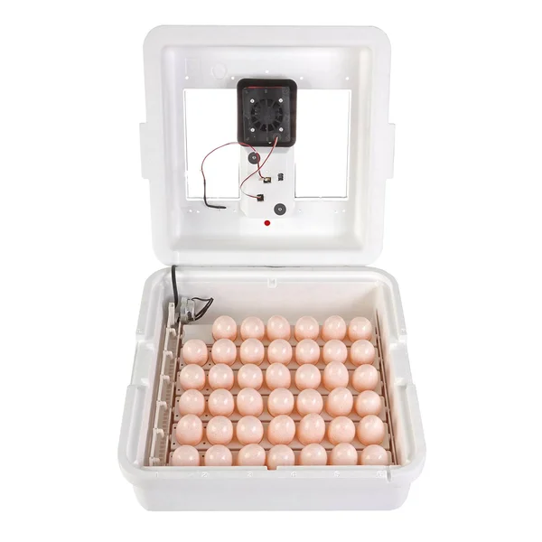Little Giant 9300 Digital LCD Still Air Incubator for 41 Eggs, White