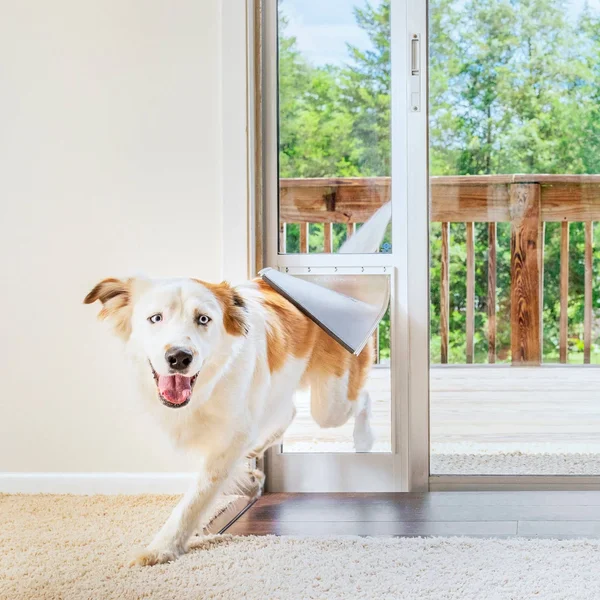 PetSafe Freedom Patio Panel 81x22- Large - White, 11.5" x 91.43"