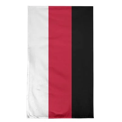 Anaheim Hockey Tea Towel East Urban Home Color: Off White/Scarlet Red/Black, Material: Cotton Twill