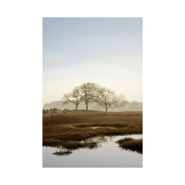 Easy Art Prints Alan Blaustein's 'Oak Tree #66' Premium Canvas Art - 36 x 24 - Brazilian Barnwood Frame