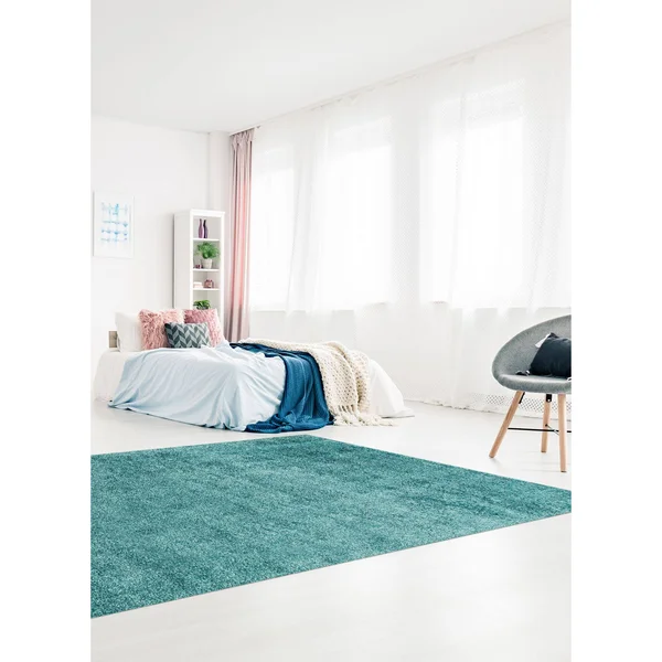 ECARPETGALLERY Cleo Shag 3'11 x 6' Accent Rug in Turquoise