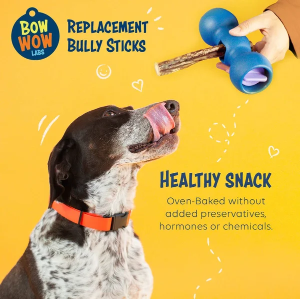 Bow Wow Labs Bully Buddy Starter Kit - Anti-Choking Bully Stick Safety Device for Dogs