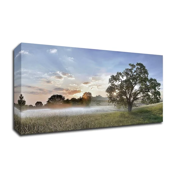 Sonoma Oak #3 by Alan Blaustein, Print on Canvas, 36x22 x 18x22