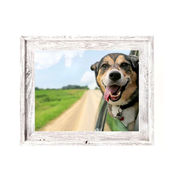 Rustic Farmhouse Signature Picture Frame - White Wash 12x12