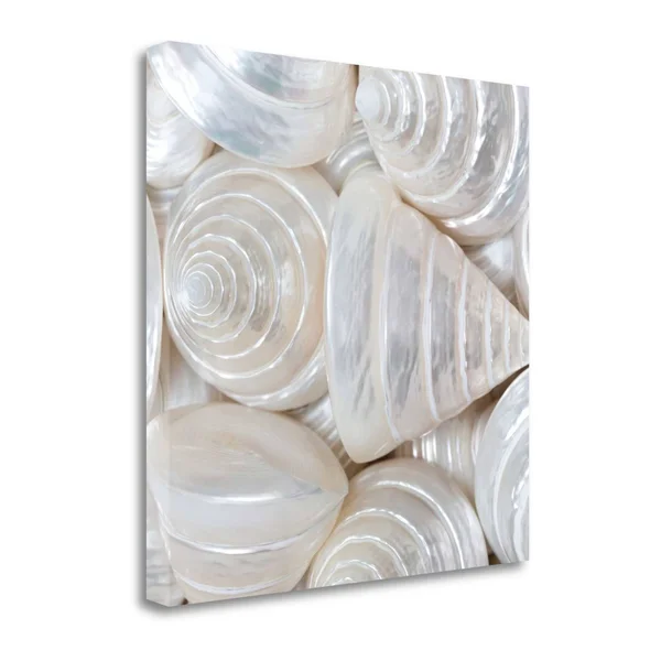 Tangletown Fine Art Opalesque II by Assaf Frank, Giclee Print on Gallery Wrap Canvas, 24x22x24x22
