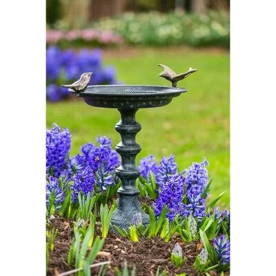 Pedestal Cast Iron Birdbath August Grove