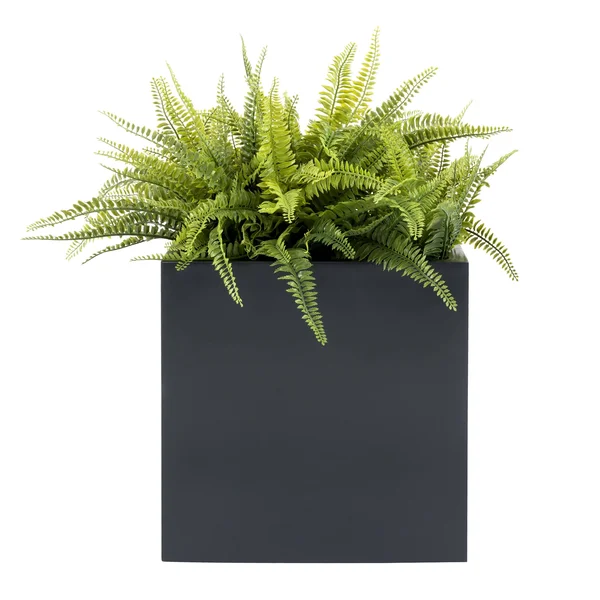 Seeley Cube Planter Modern Indoor Outdoor Square Fiberglass - NMN Designs Med - 14x22L x 14x22W x 14x22H, Gray