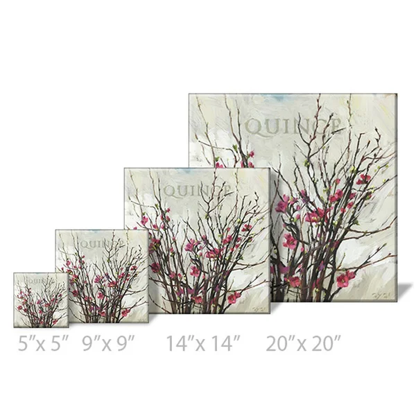 Sullivans Darren Gygi Quince Canvas - Museum Quality Giclee Print, Gallery Wrapped, Handcrafted in USA 20x22W Pink