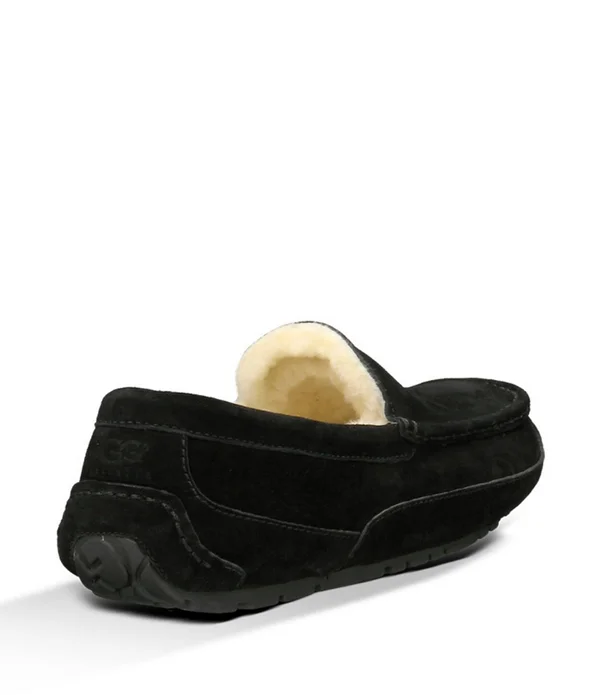 Ugg Men's Ascot