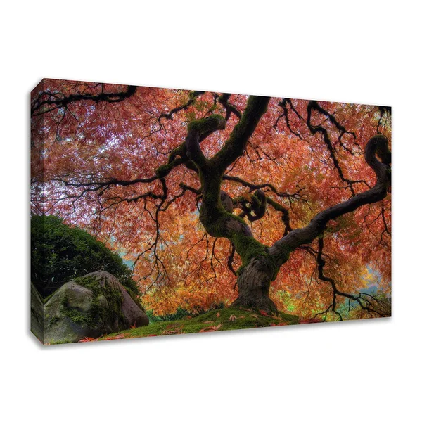 Japanese Maple in Autumn, 30x22 x 45x22 Fine Art Giclee Print on Gallery Wrap