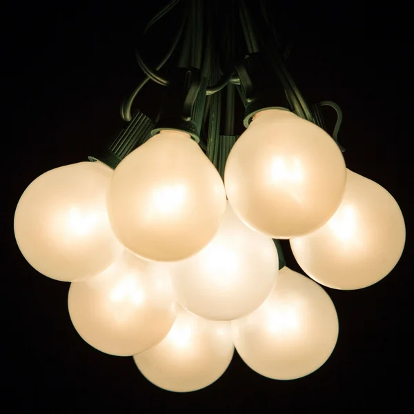 Hometown Evolution, Inc. 50 ft. 50-Light Globe String Lights Green