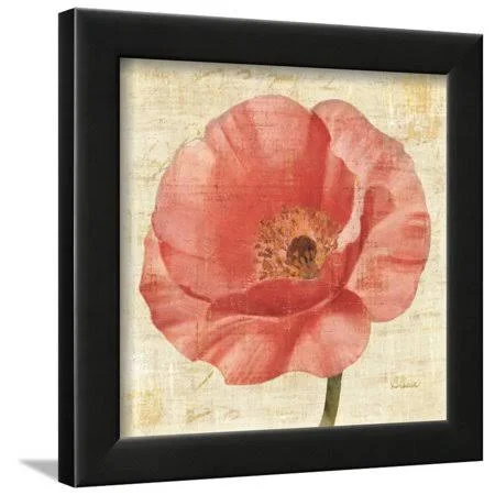 Blushing Poppy on Cream Framed Print Wall Art by Albena Hristova, Size: 12 x 12, Black