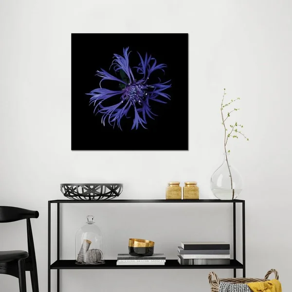Magda Indigo Paintings Canvas Art Prints - Centaurea x ( scenic & landscapes > Nature > Nature close-ups > Flora