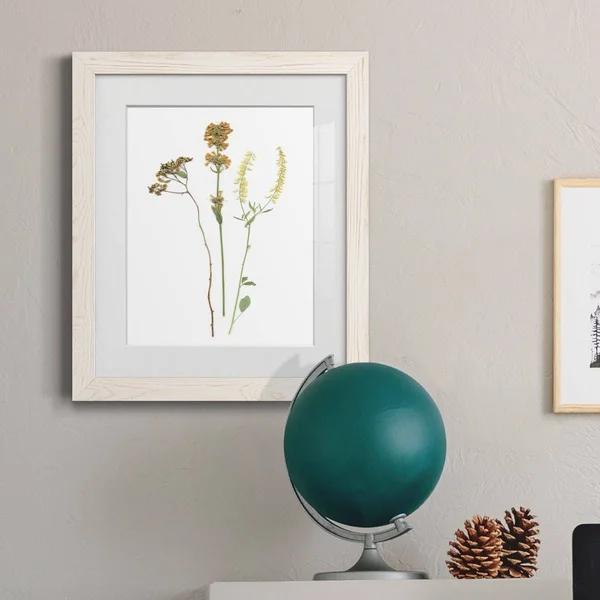 Pressed Botanical III-Premium Framed Print - Ready to Hang - 27.5X37.5 - White