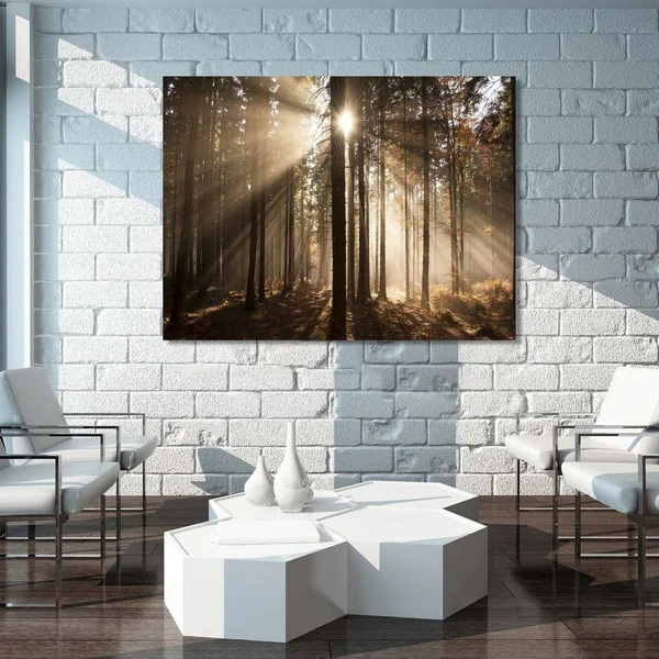 Picture Perfect International Autumn Morning in Forest Giclee Print Canvas Wall Art, 30 Inches x 40 Inches x 1.5 Inches