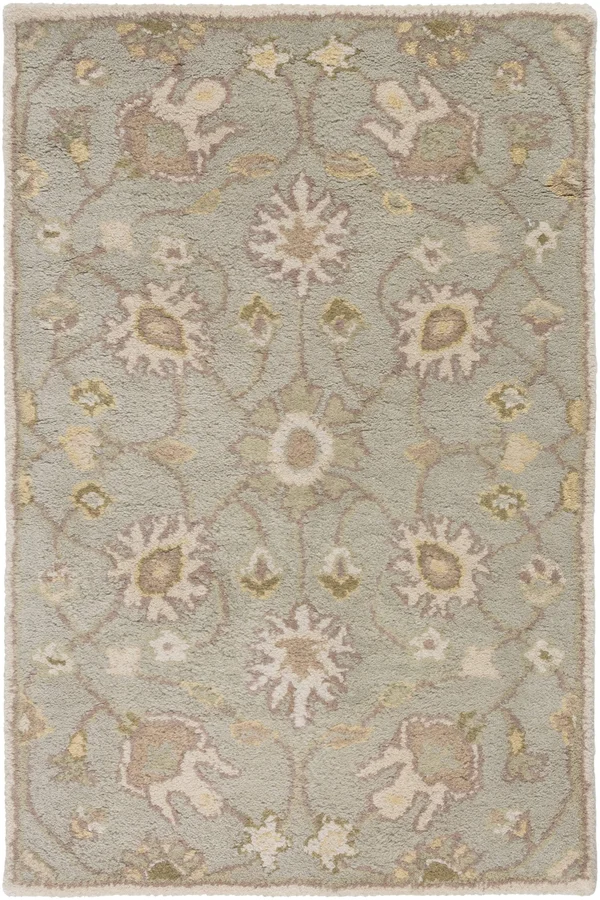 Surya Caesar CAE-1121 4& Round Area Rug