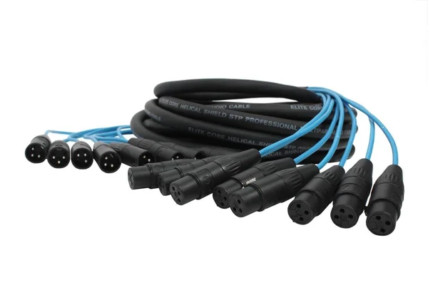 Elite Core PEX830 8 Channel 30& Fan to Fan XLR Extension Snake