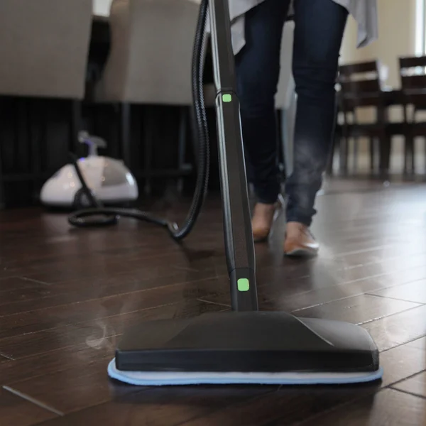 Steamfast SF-275 Heavy-Duty Steam Cleaner