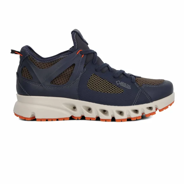 Ecco Sport Multi-vent Air Gore-Tex (Marine/Dark Clay/Pumpkin) Men's Shoes