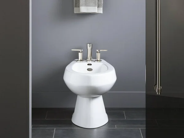 KOHLER K-4854-58 San Tropez Vertical Spray Bidet with 4 Faucet Holes - Thunder Grey
