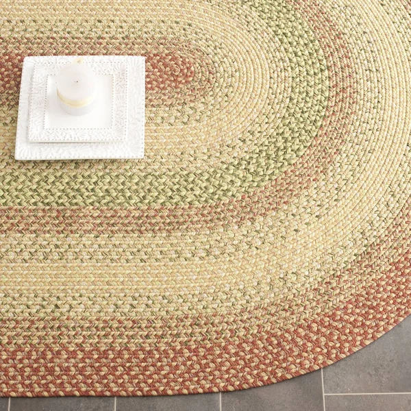 Safavieh Braided Rust/Multi 6 ft. x 6 ft. Round Area Rug