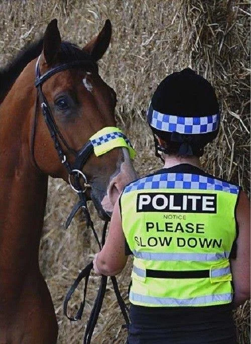 Equisafety Polite Waistcoat Please Slow Down Size Small