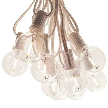 Hinman 25 ft. 25-Light Globe String Light The Holiday Aisle Bulb Shape: G40, Cord Color: White Wire