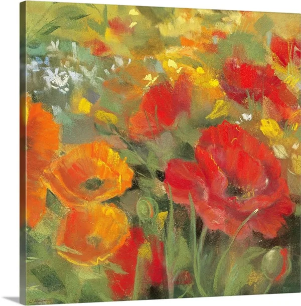 Oriental Poppy Field I, Canvas Wall Art, 20x20, Great Big Canvas