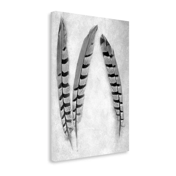 Tangletown Fine Art Feather B, W, 1x22 by Alan Blaustein, Giclee Print on Gallery Wrap Canvas, 25x33x22