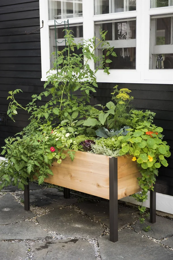 2 x 4 Elevated Cedar Planter Box - Elevated Planters - Gardener&s Supply Company