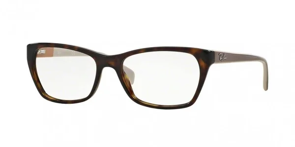 Ray-Ban Rx RX5298 Eyeglasses - Shiny Black