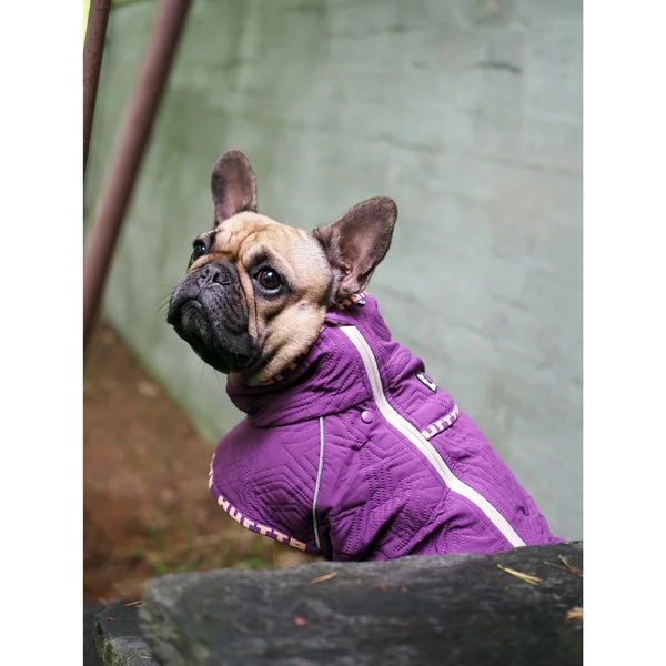 Hurtta Casual Quilted Jacket 18XL - Heather
