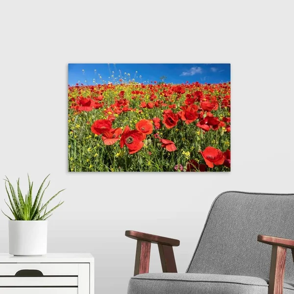 Spain, Andalusia, A Field of Bright and Cheerful Red Poppy Wildflowers, Canvas Wall Art, 24x16, Great Big Canvas
