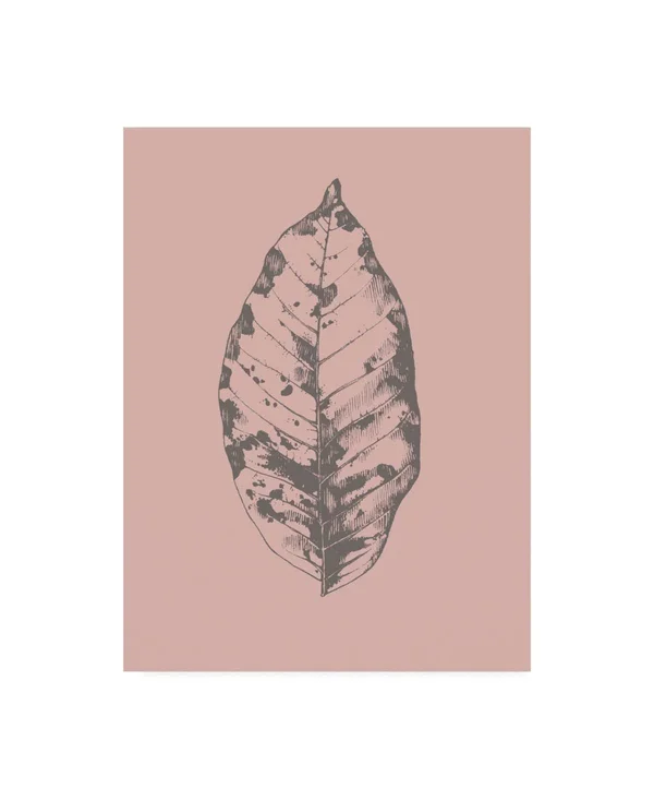 Trademark Fine Art Ic01368-C1824Gg Design Fabrikken 'Botanica 1 Fabrik