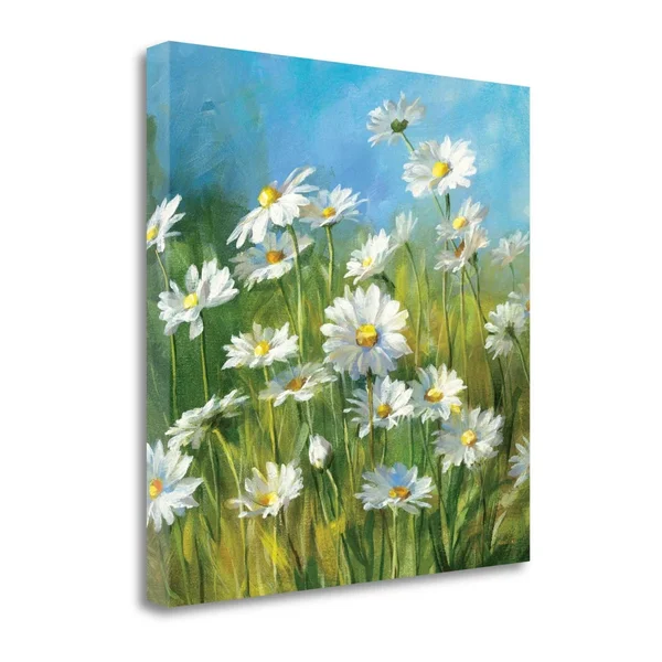 Tangletown Fine Art Summer Field II by Danhui Nai - Fine Art Giclee Print on Gallery Wrap Canvas