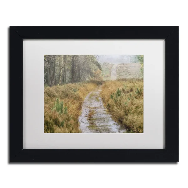 Trademark Fine Art Path Canvas Art by Cora Niele, White Mat, Wood Frame, 11x22 x 14x22